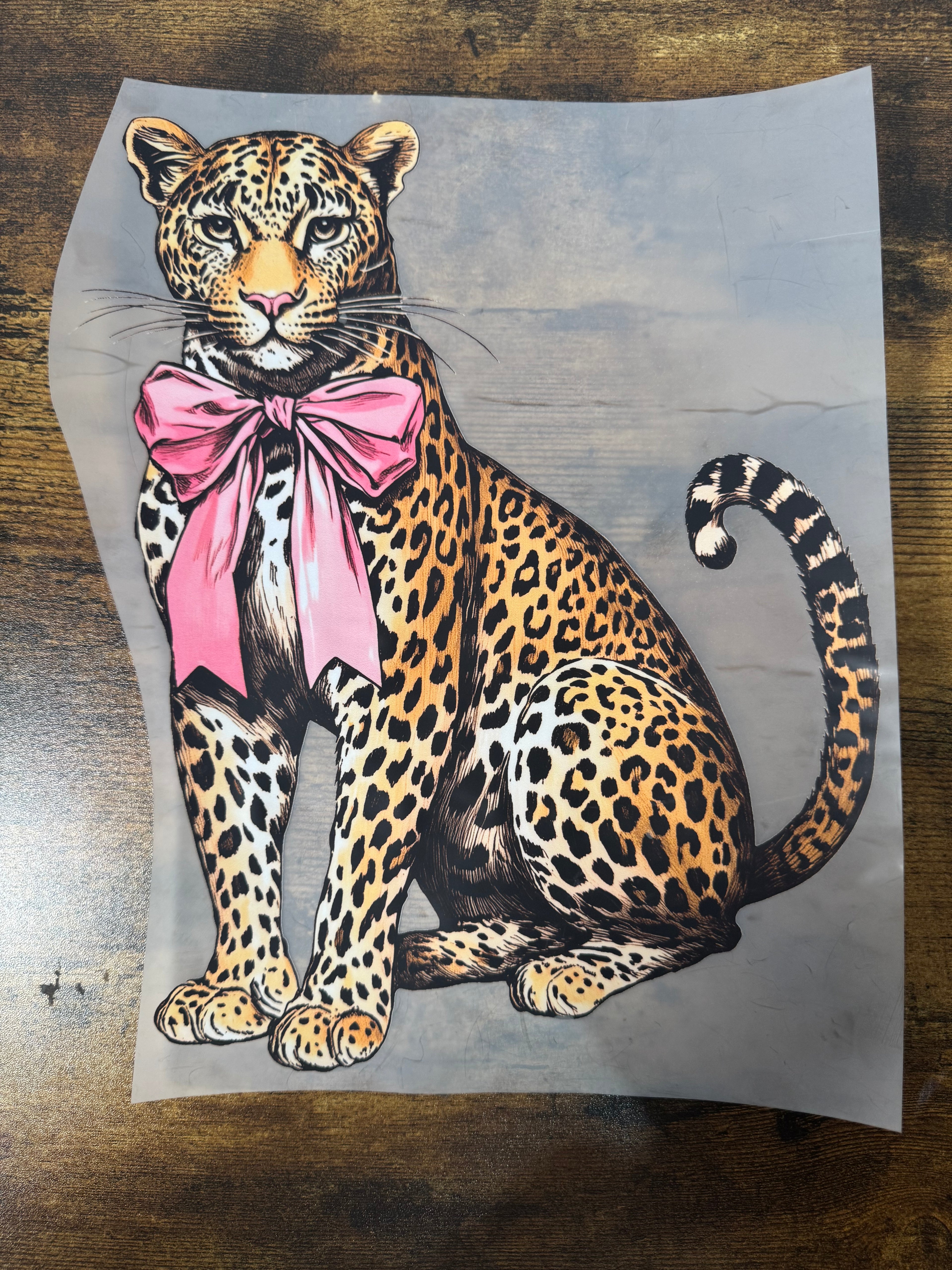 Coquette Leopard Transfer