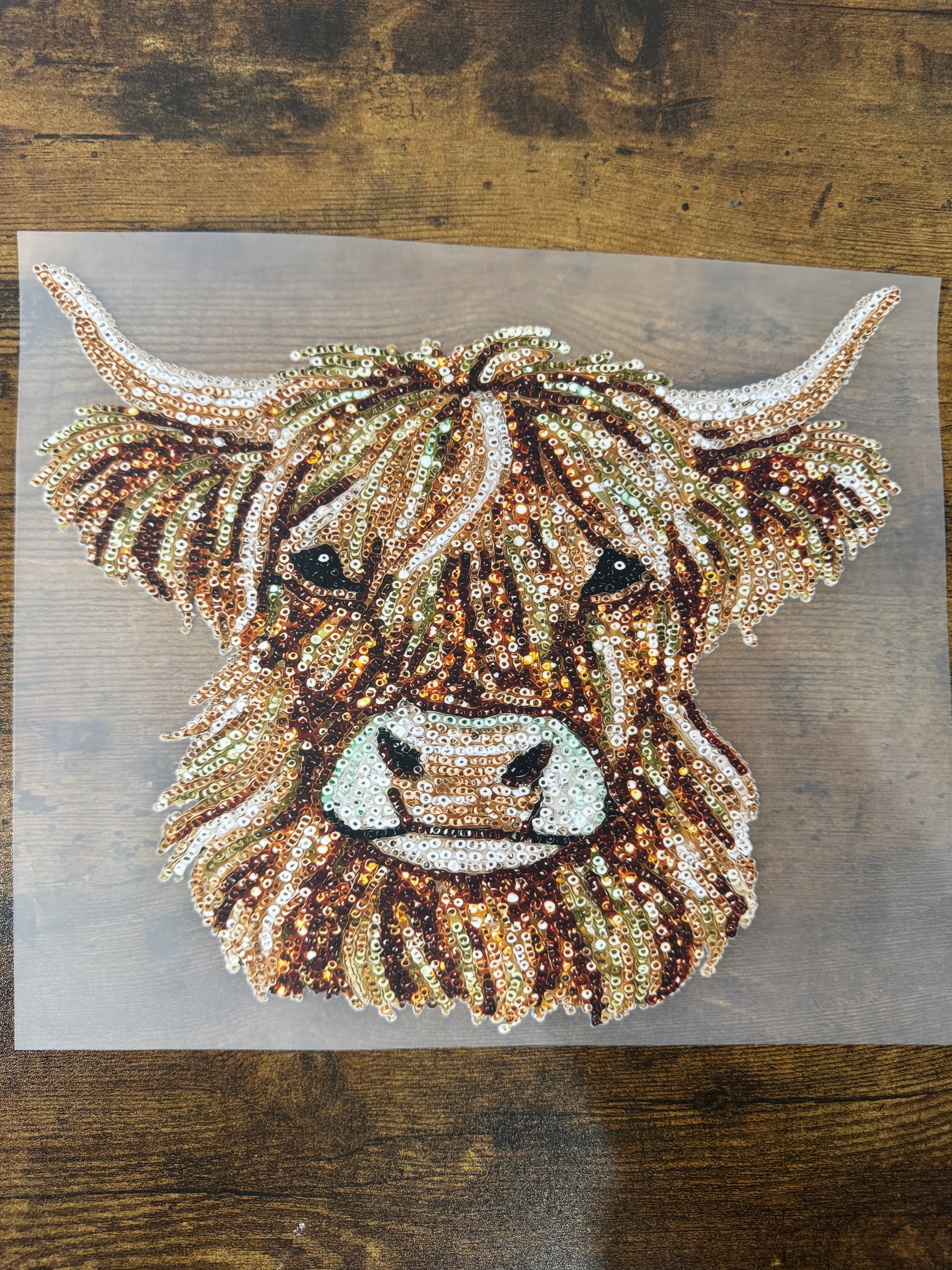 Sequence Highland Cow Transfer