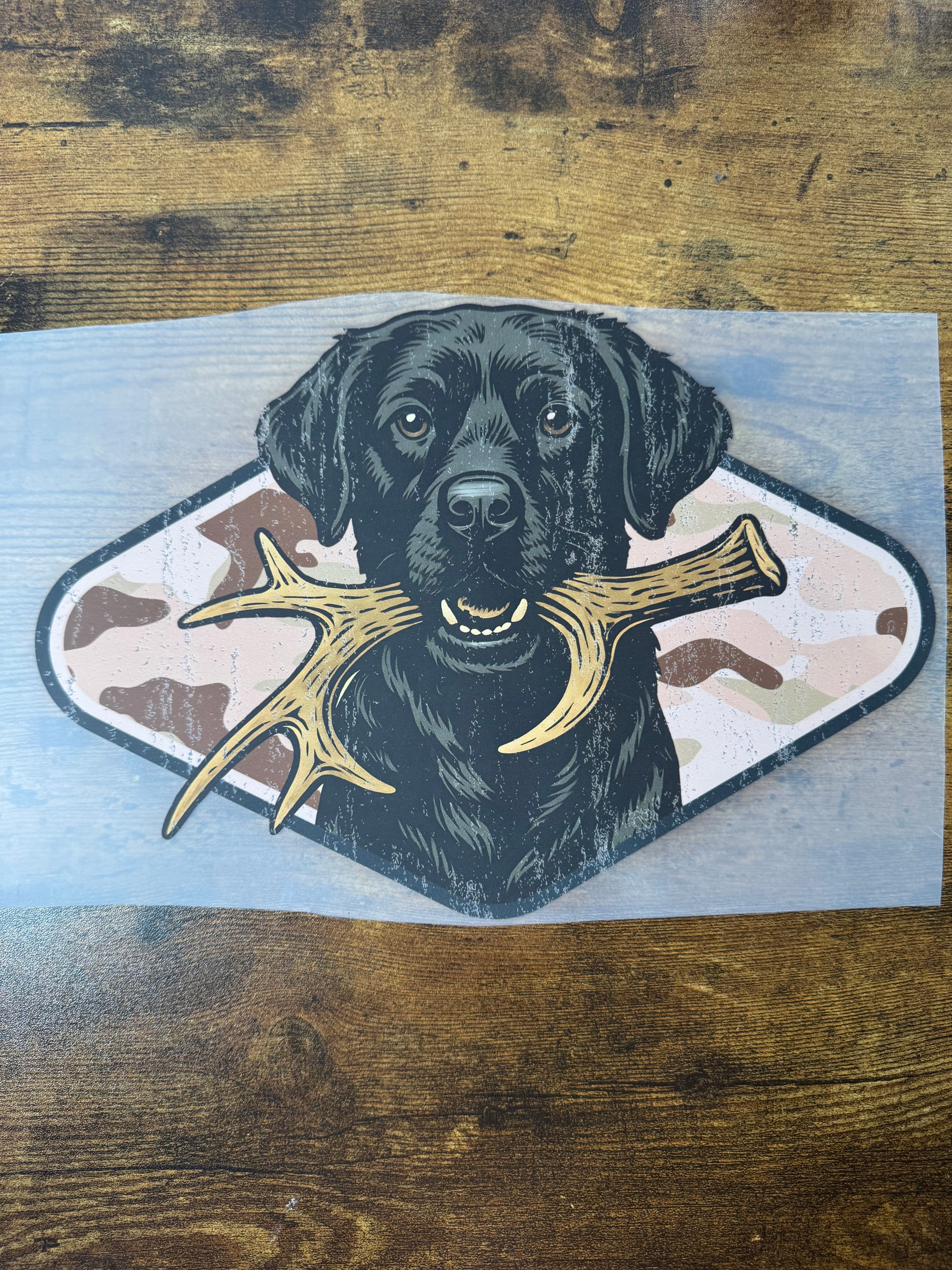 Black Lab Transfer
