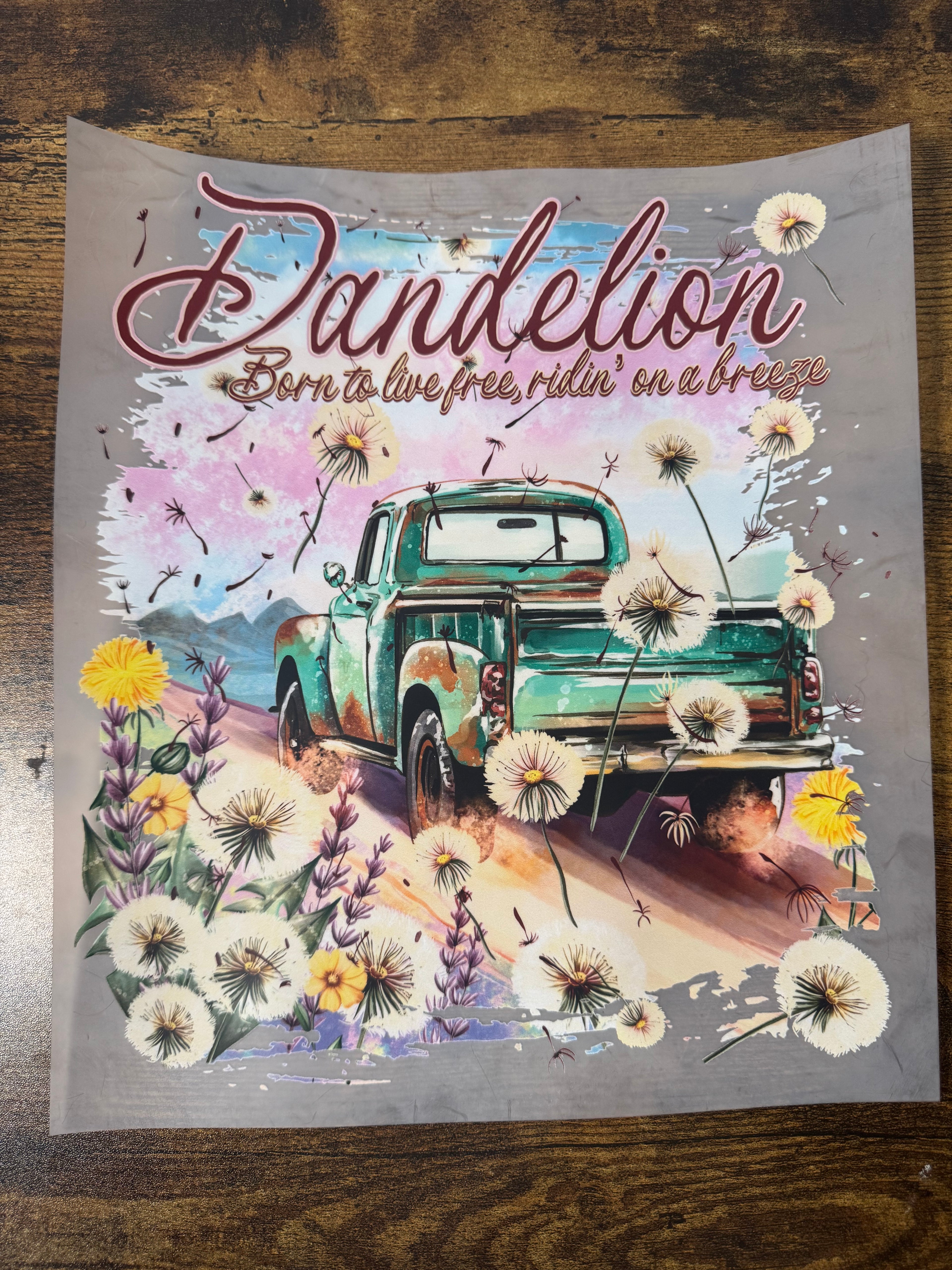 Dandelion Born to live free Transfer