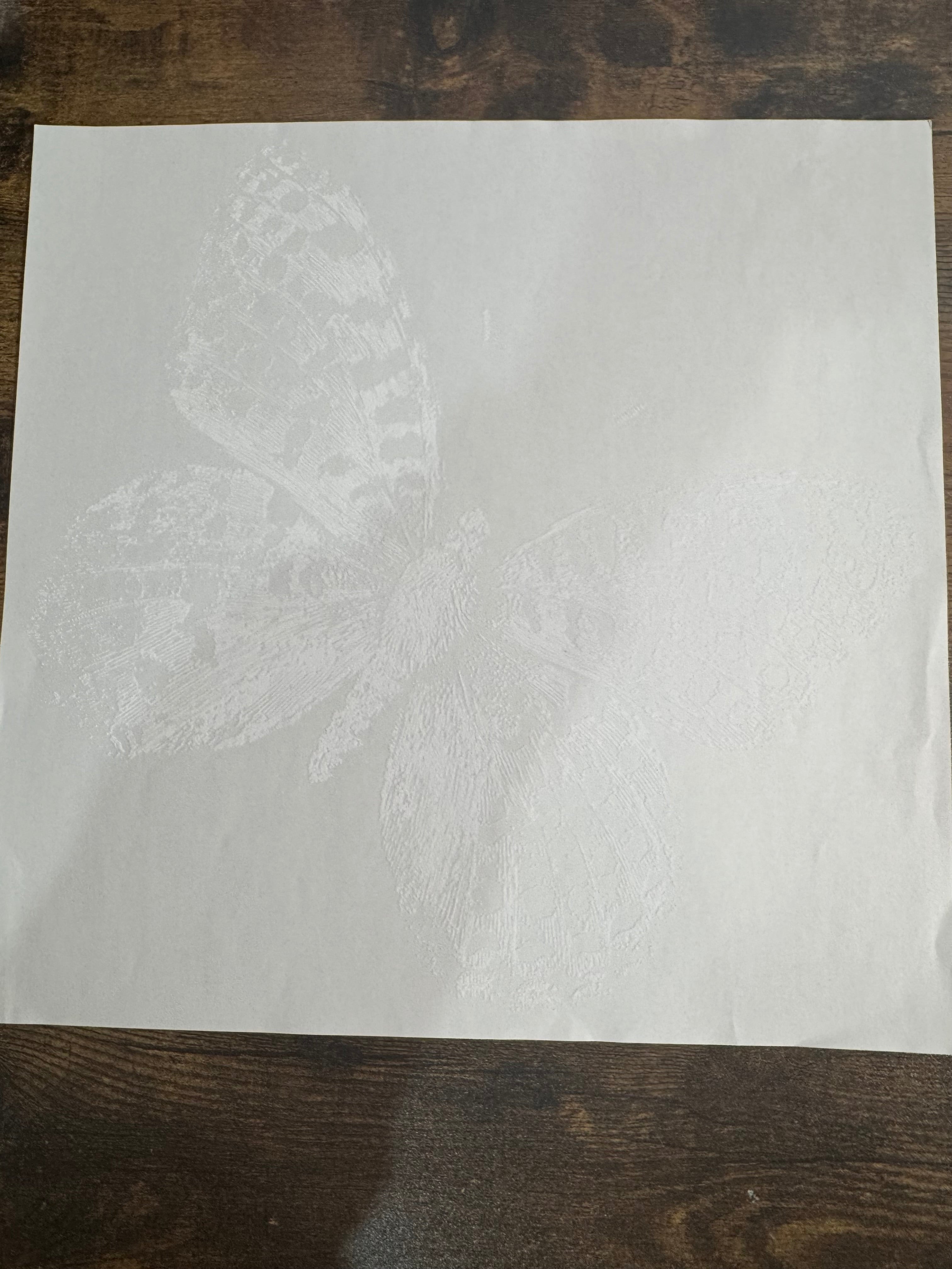Distressed Monarch Butterfly