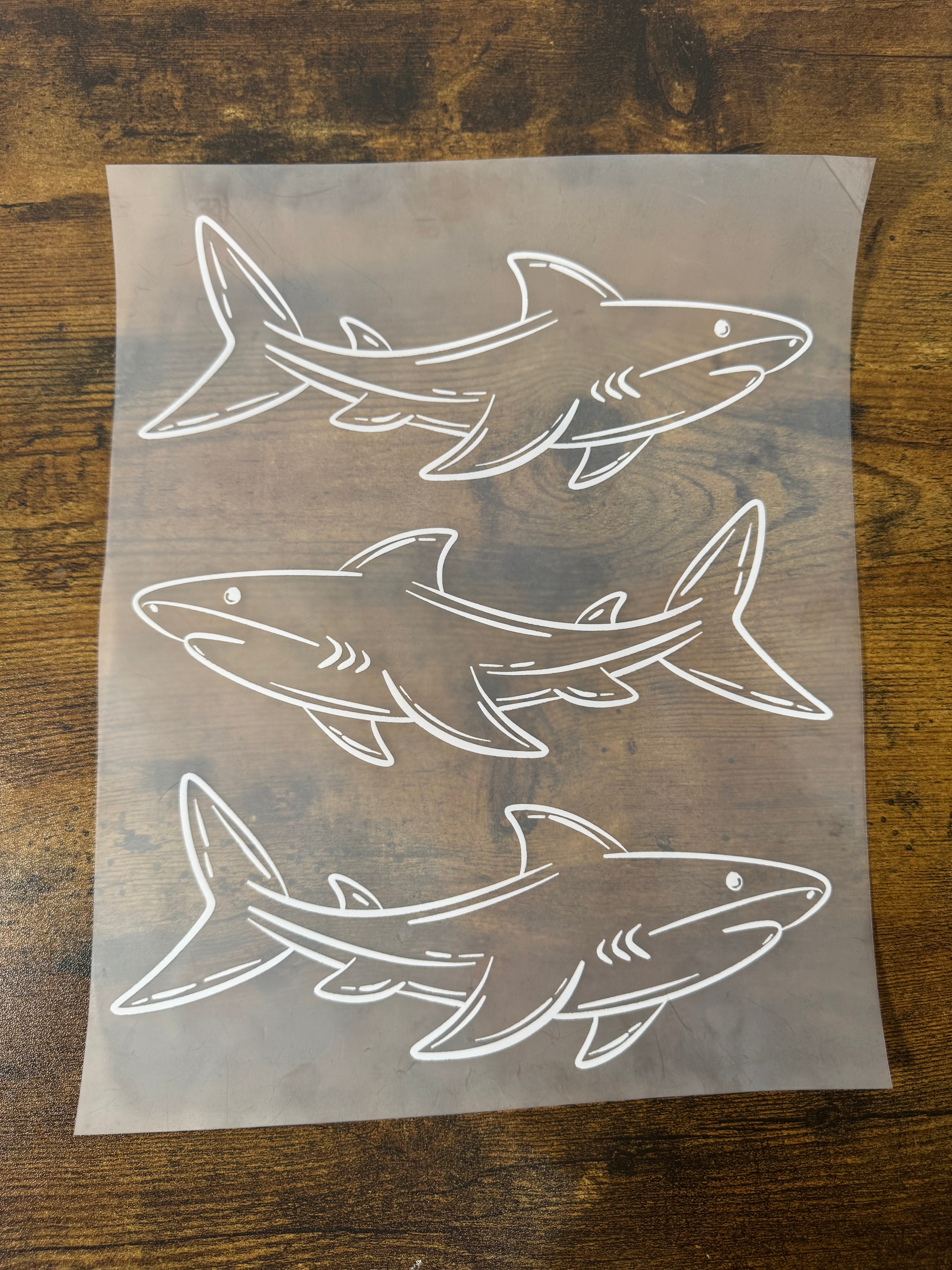 White Sharks Transfer