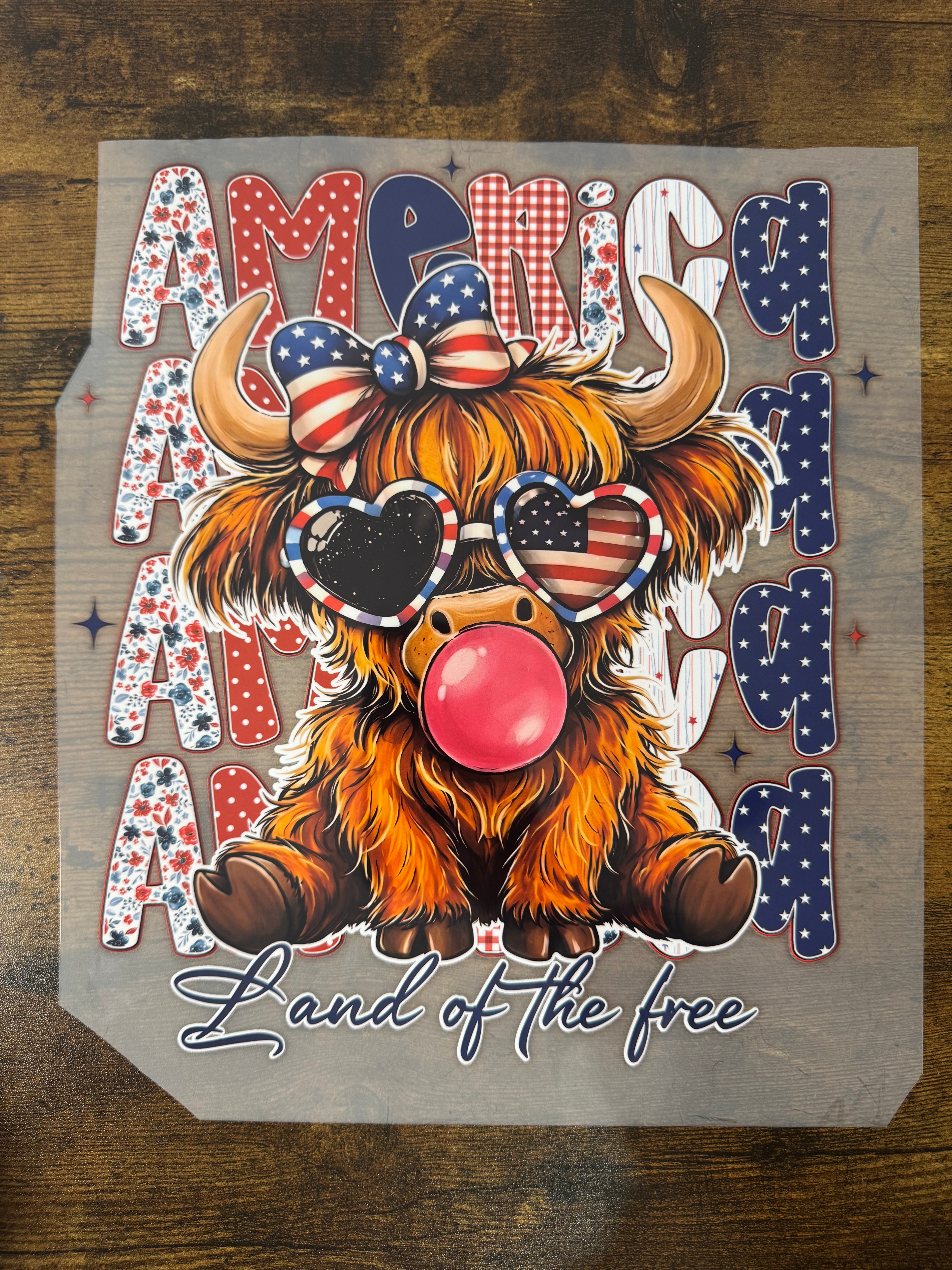 America Cow Transfer
