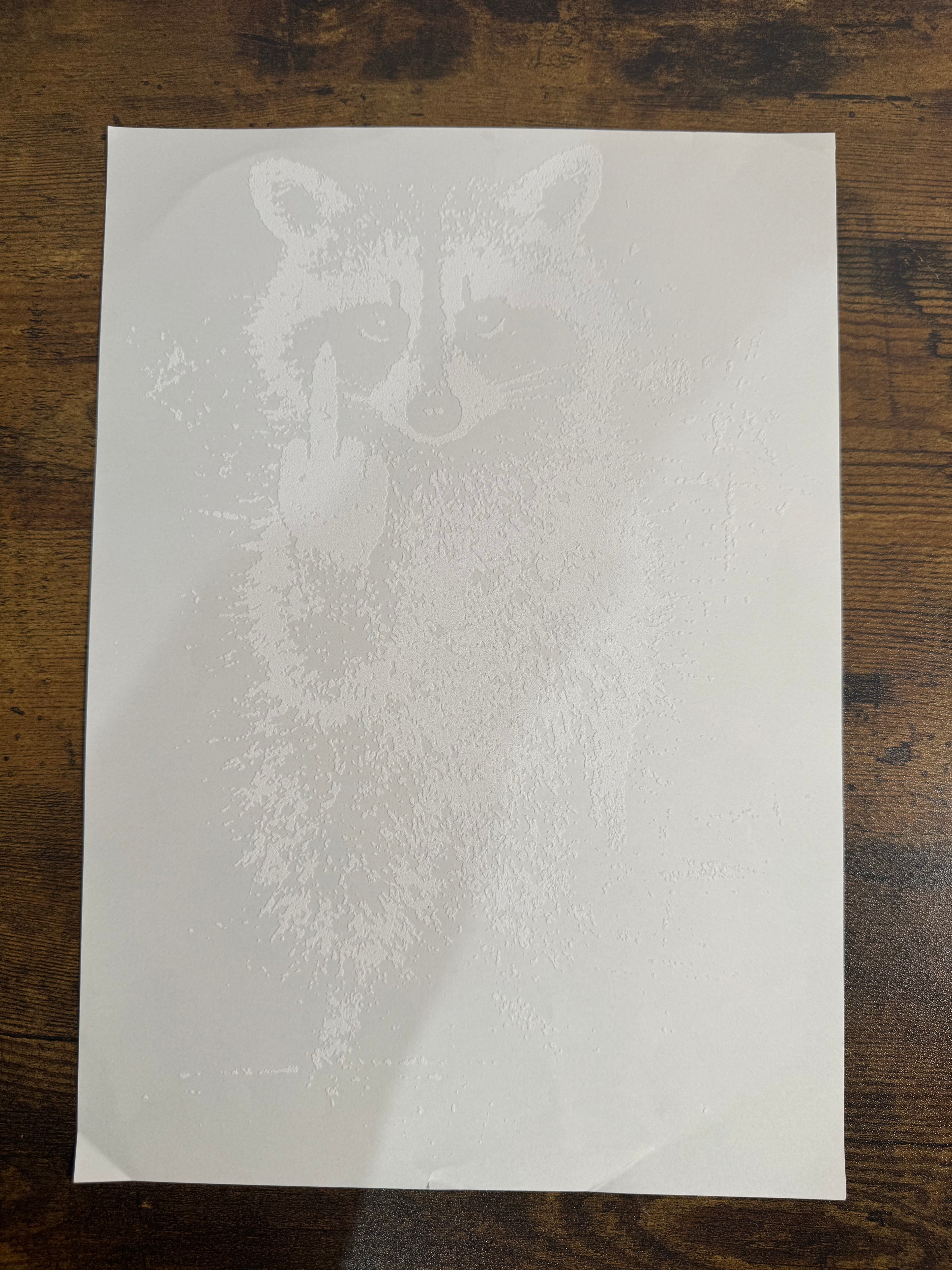 Middle Finger Raccoon Transfer