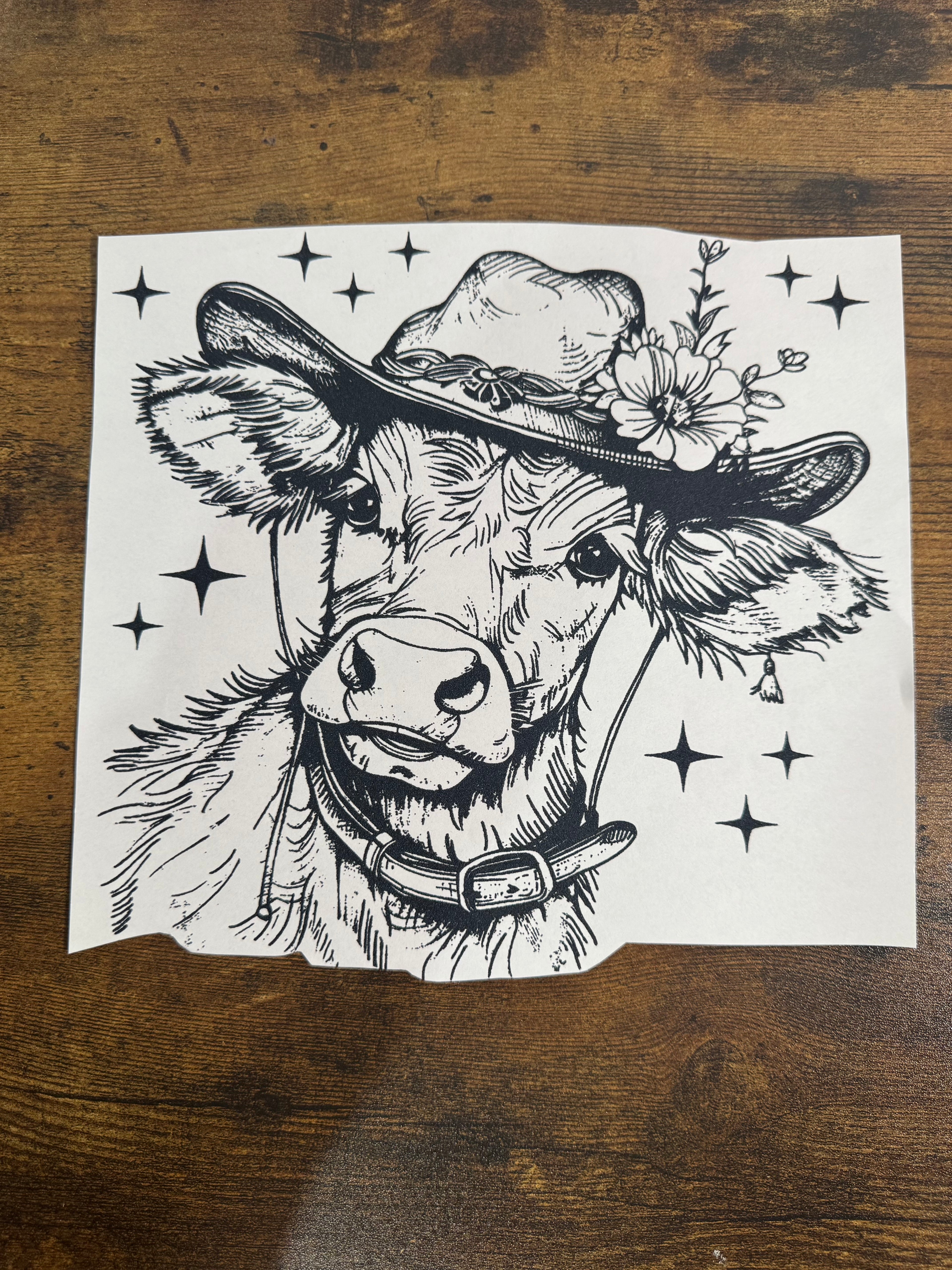 Cow Transfer