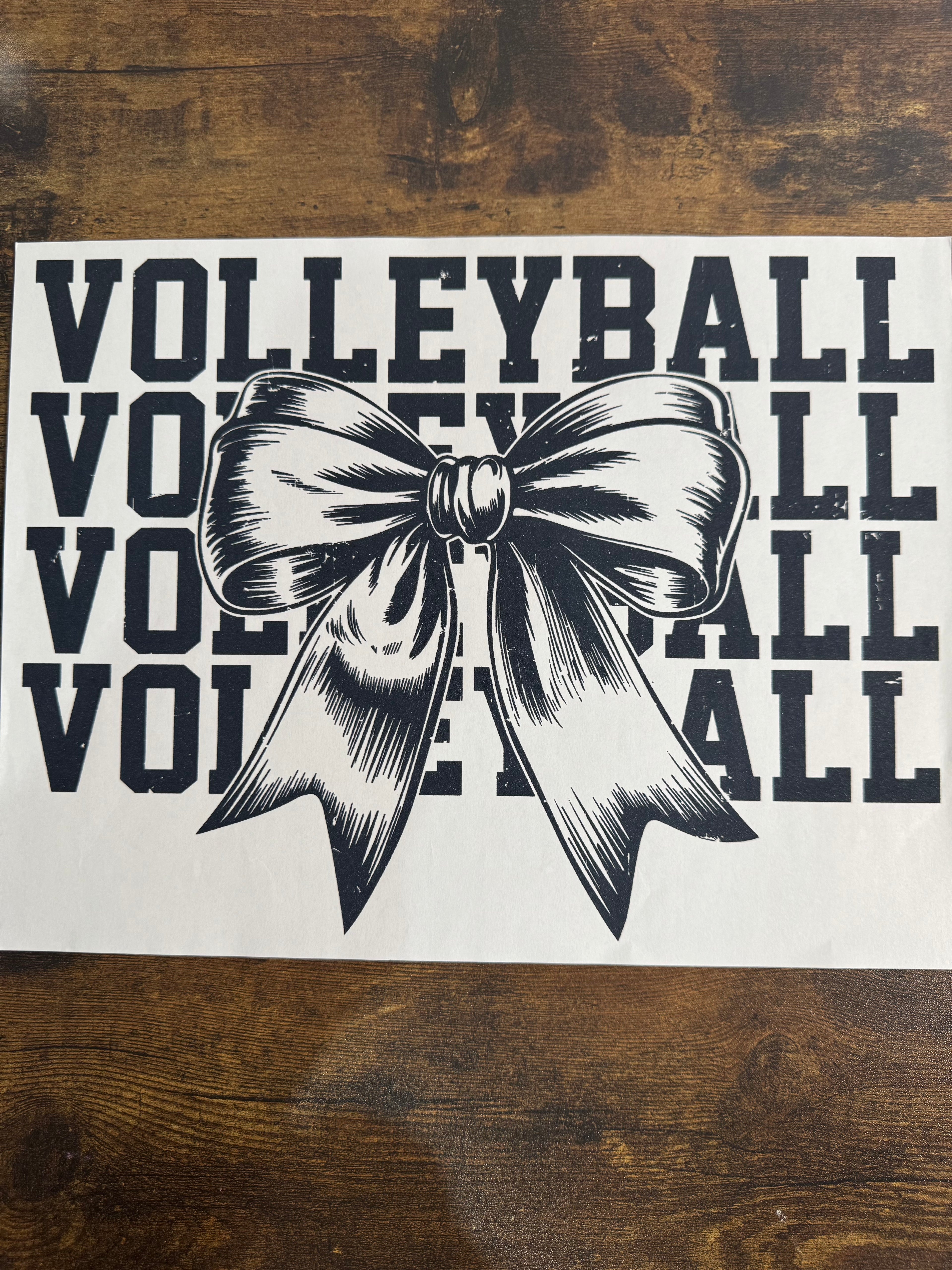 VOLLEYBALL Transfer