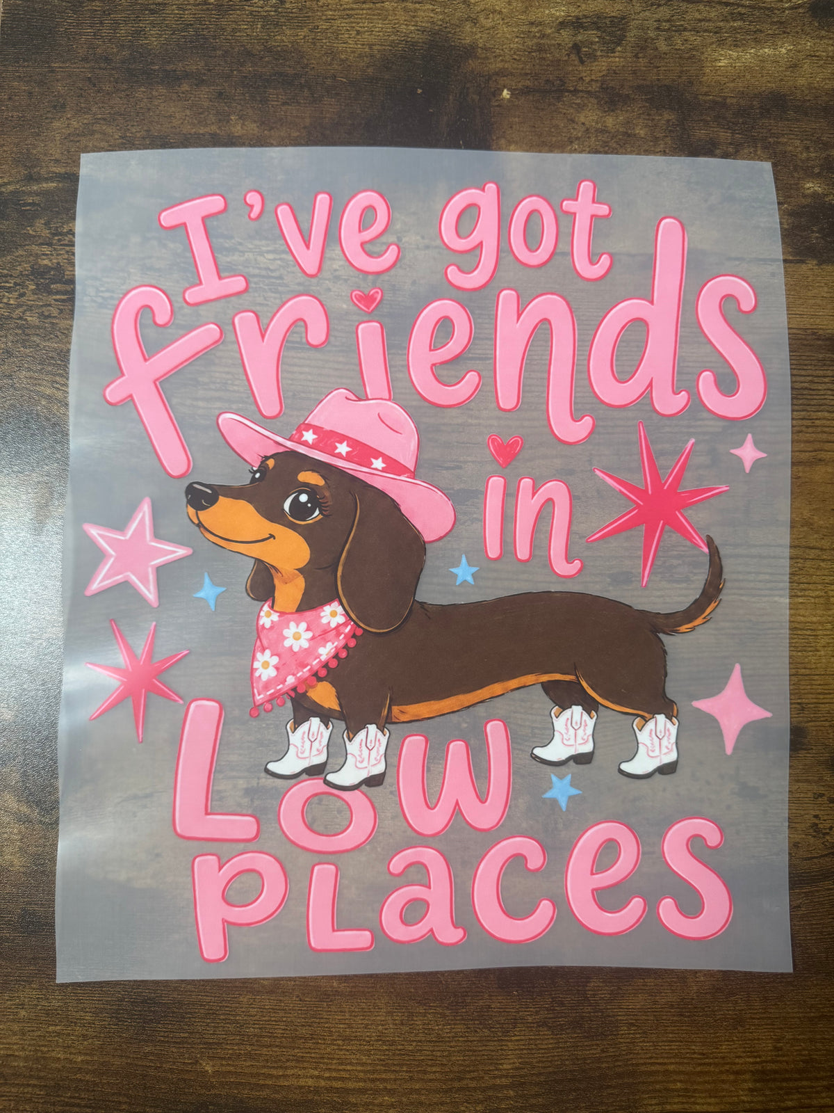 I’ve Got Friends In Low Places Transfer