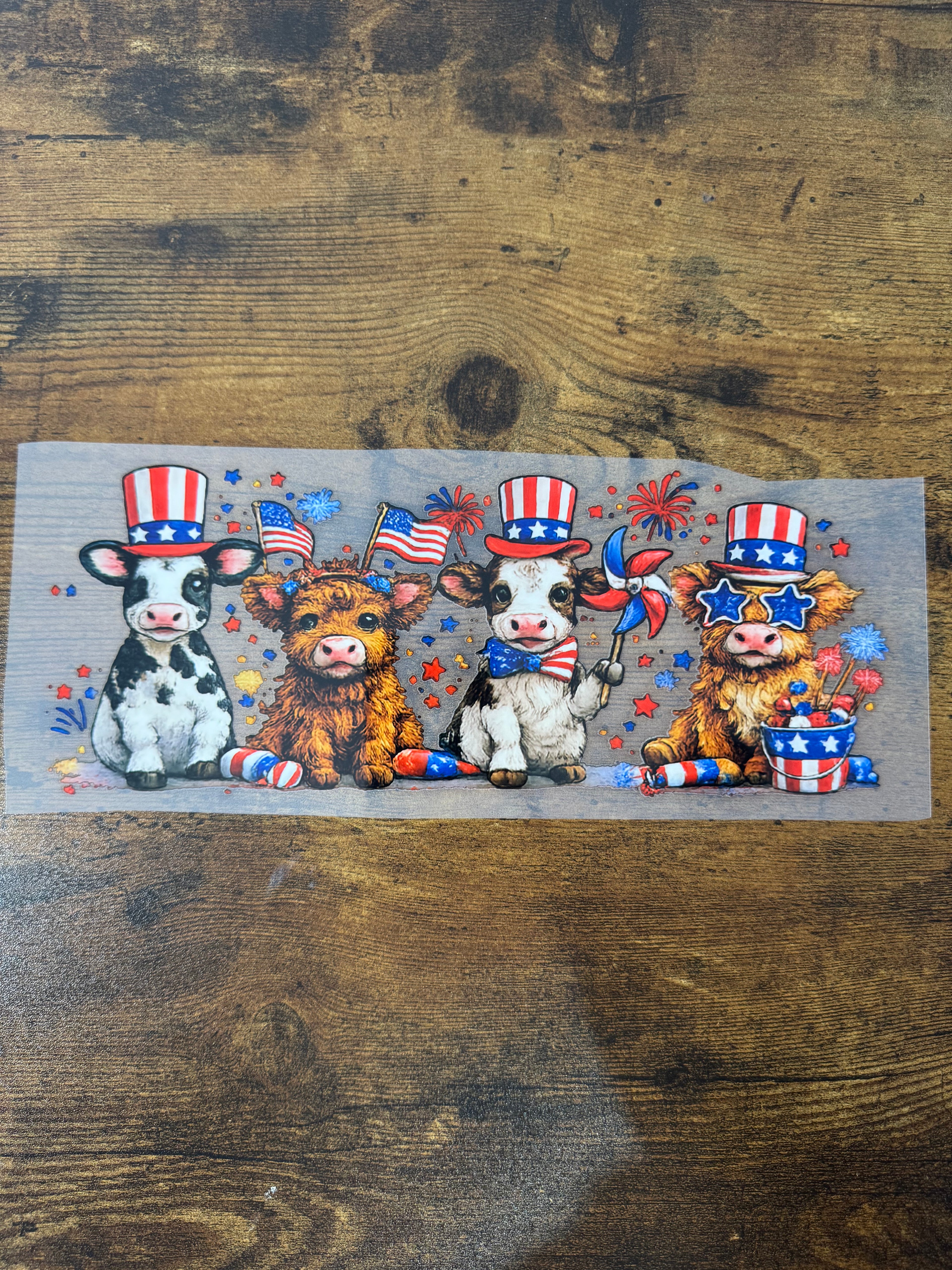 Patriotic Cows