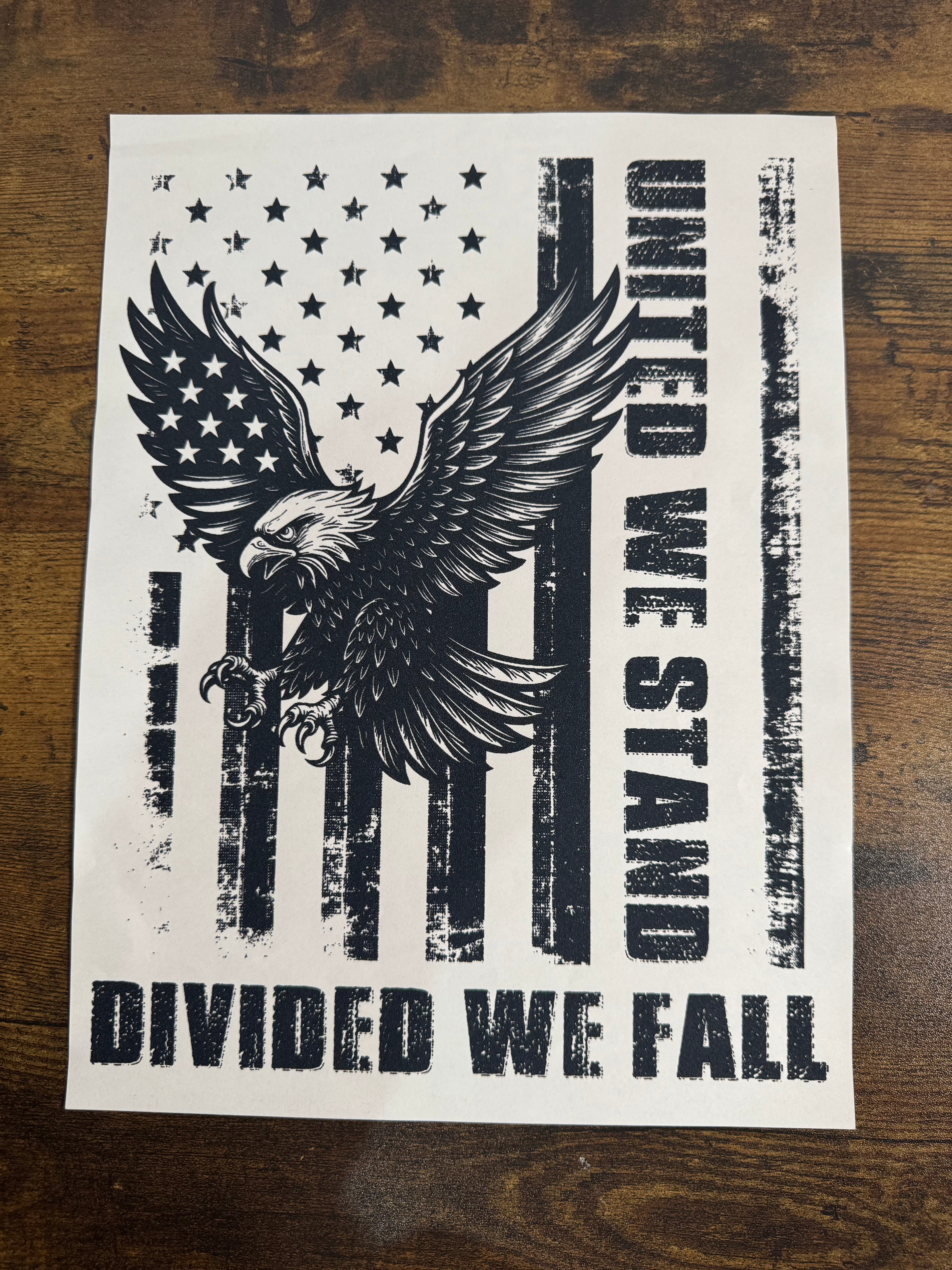 United We Stand Divided We Fall Transfer