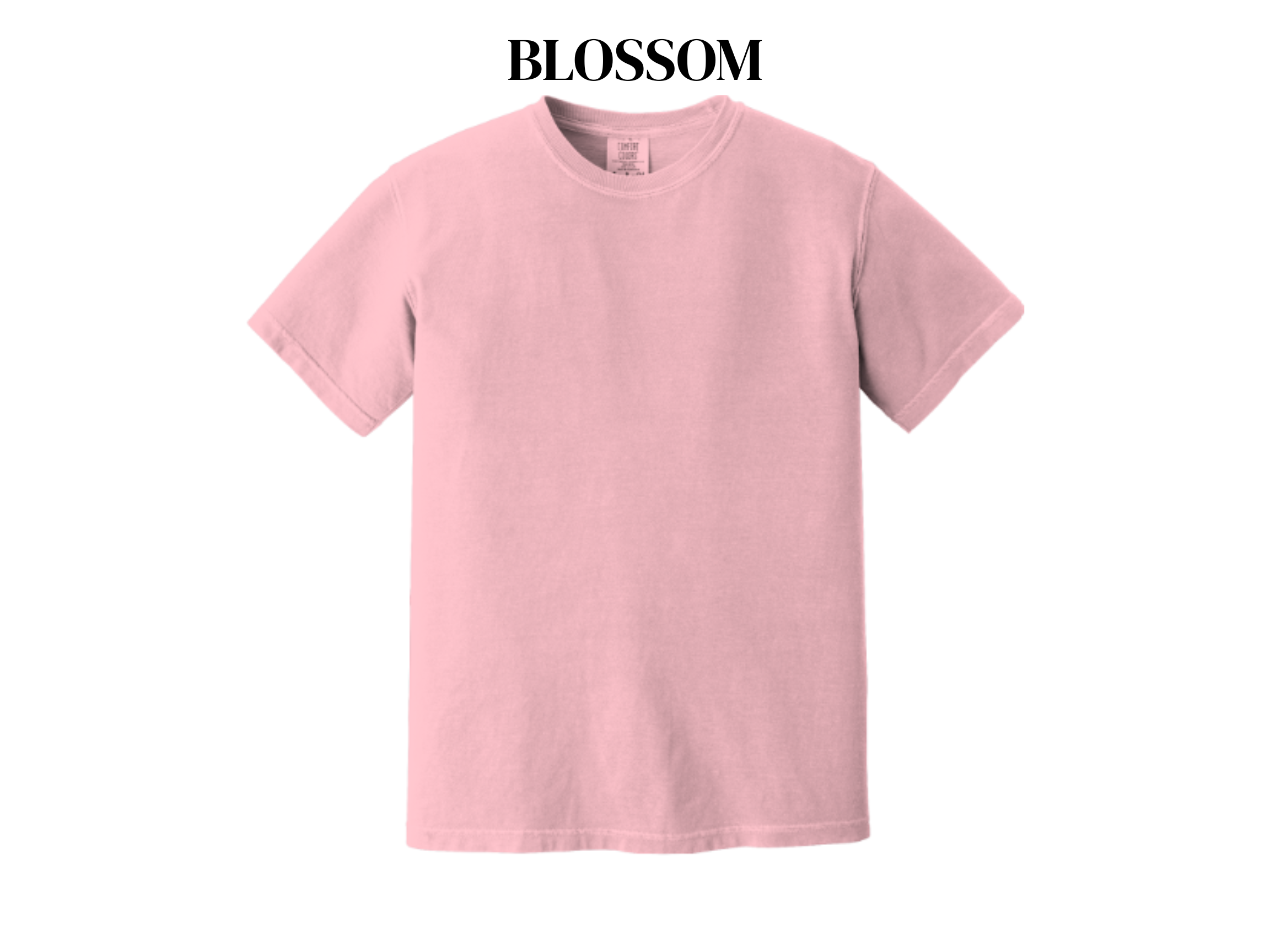 Comfort Colors Adult Tee