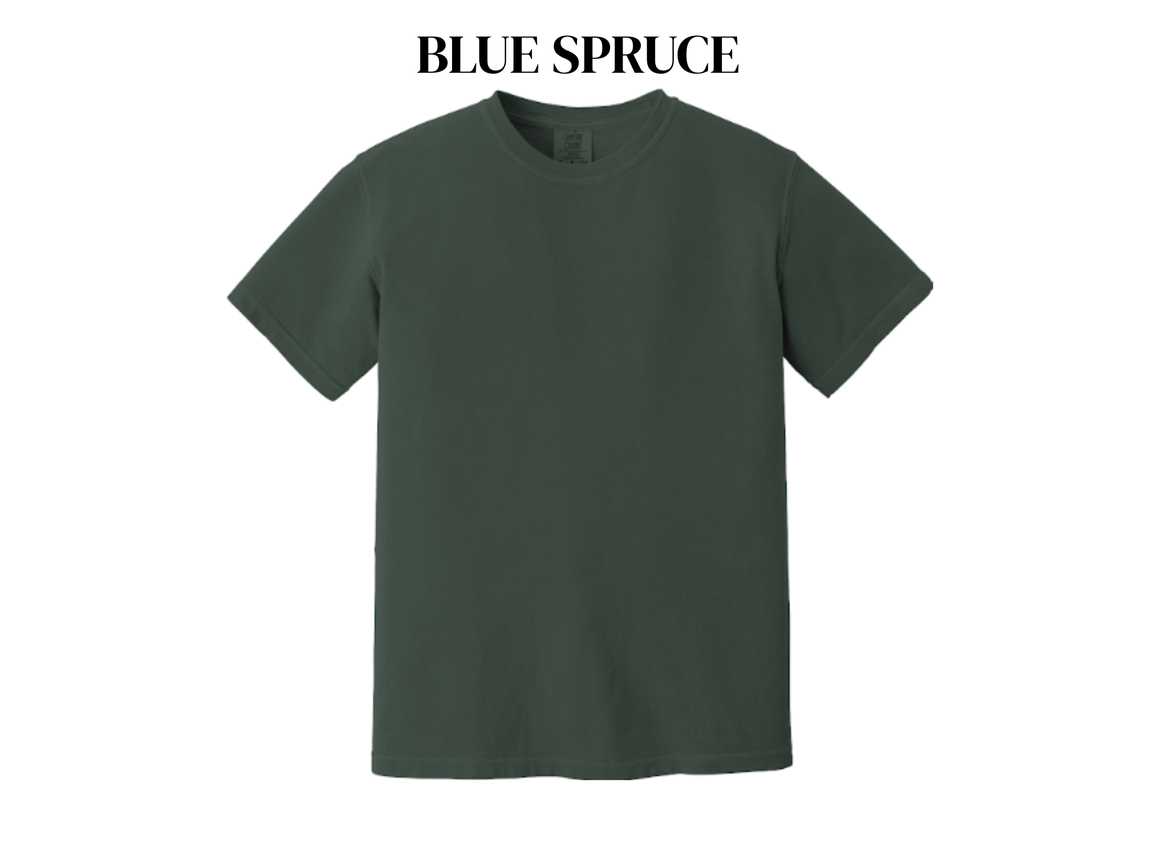 Comfort Colors Adult Tee