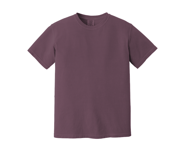 Comfort Colors Adult Tee