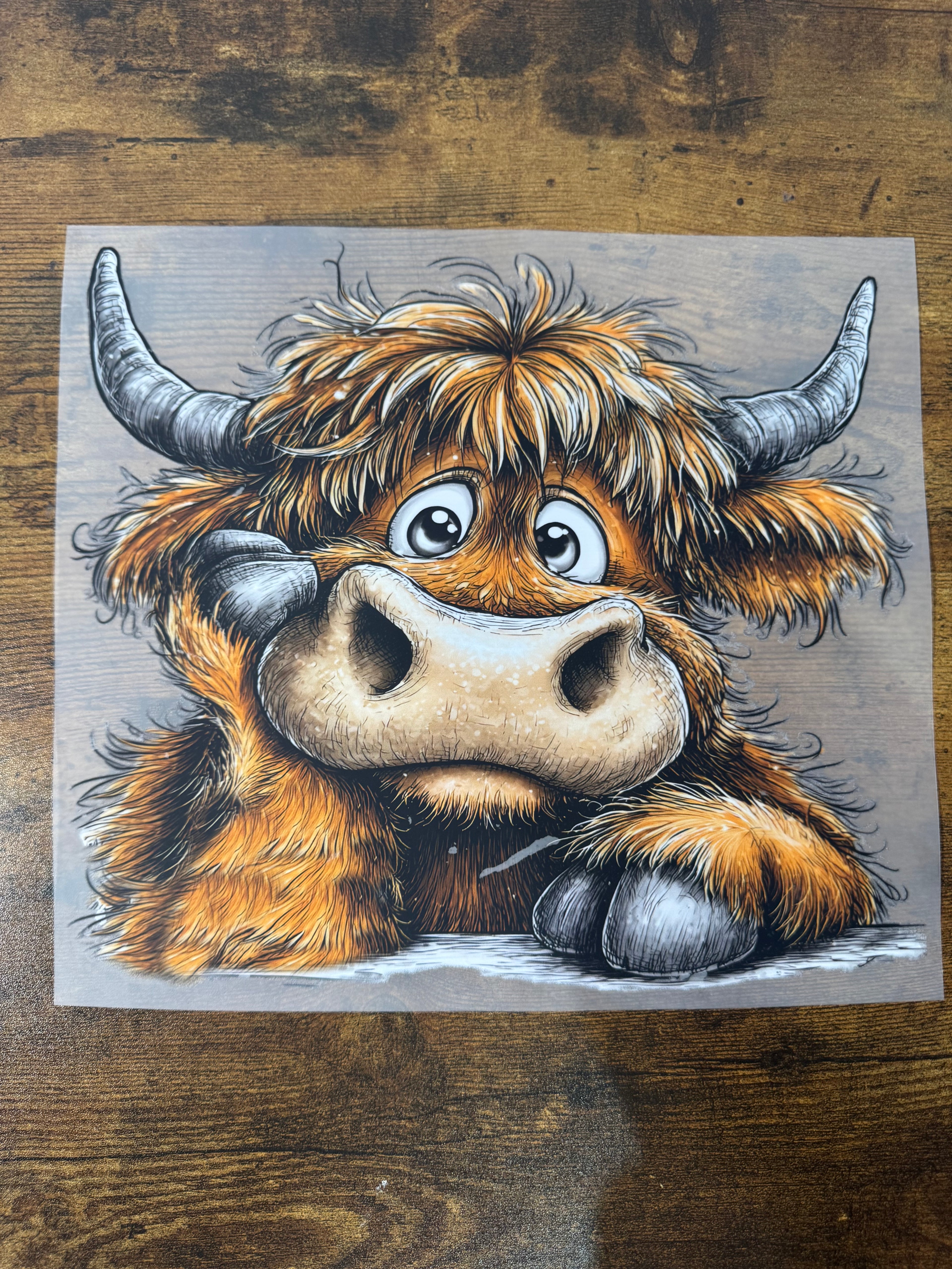 Pouting Highland Cow Transfer