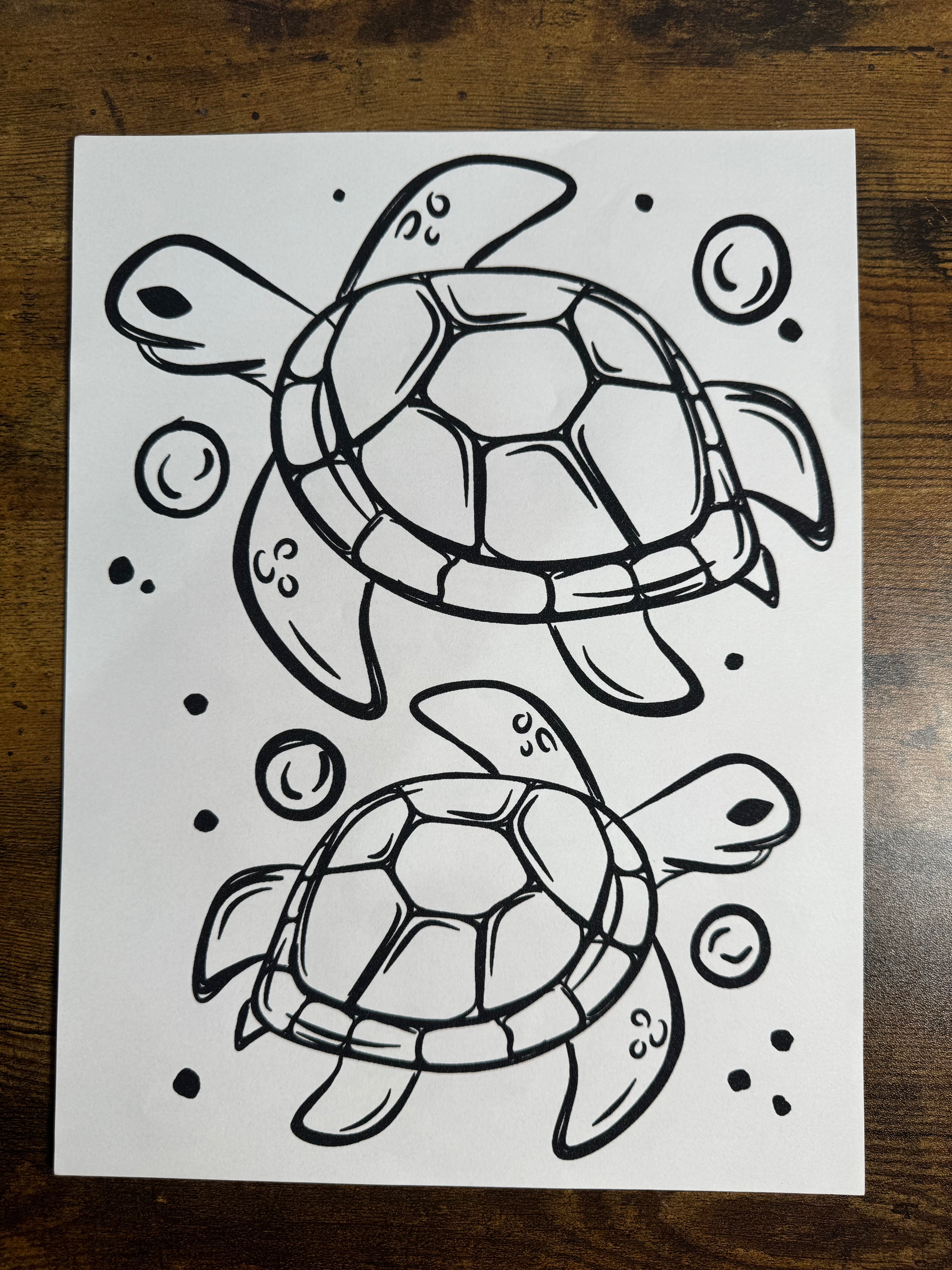 Turtle Transfer