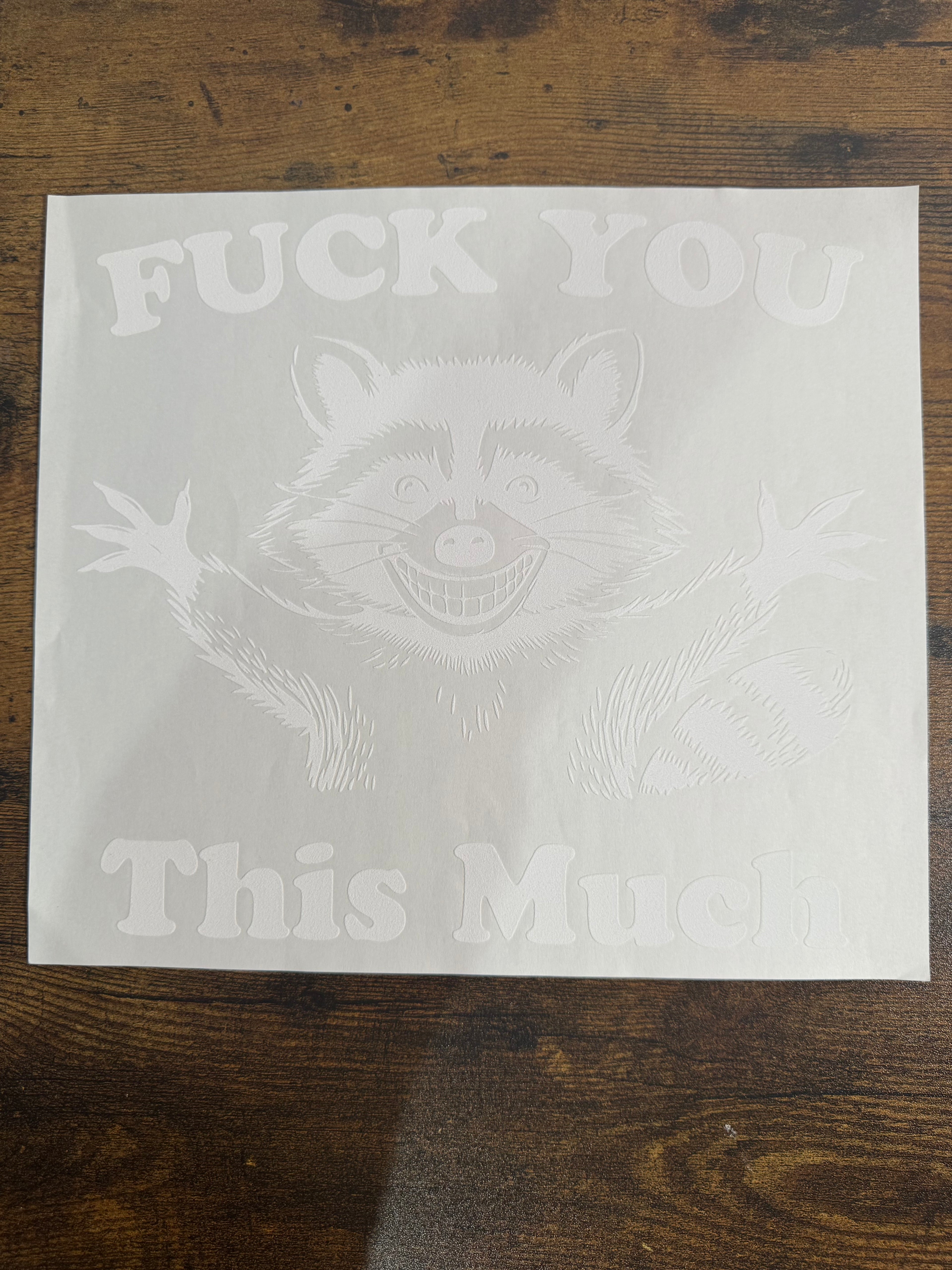 F You This Much Racoon Transfer