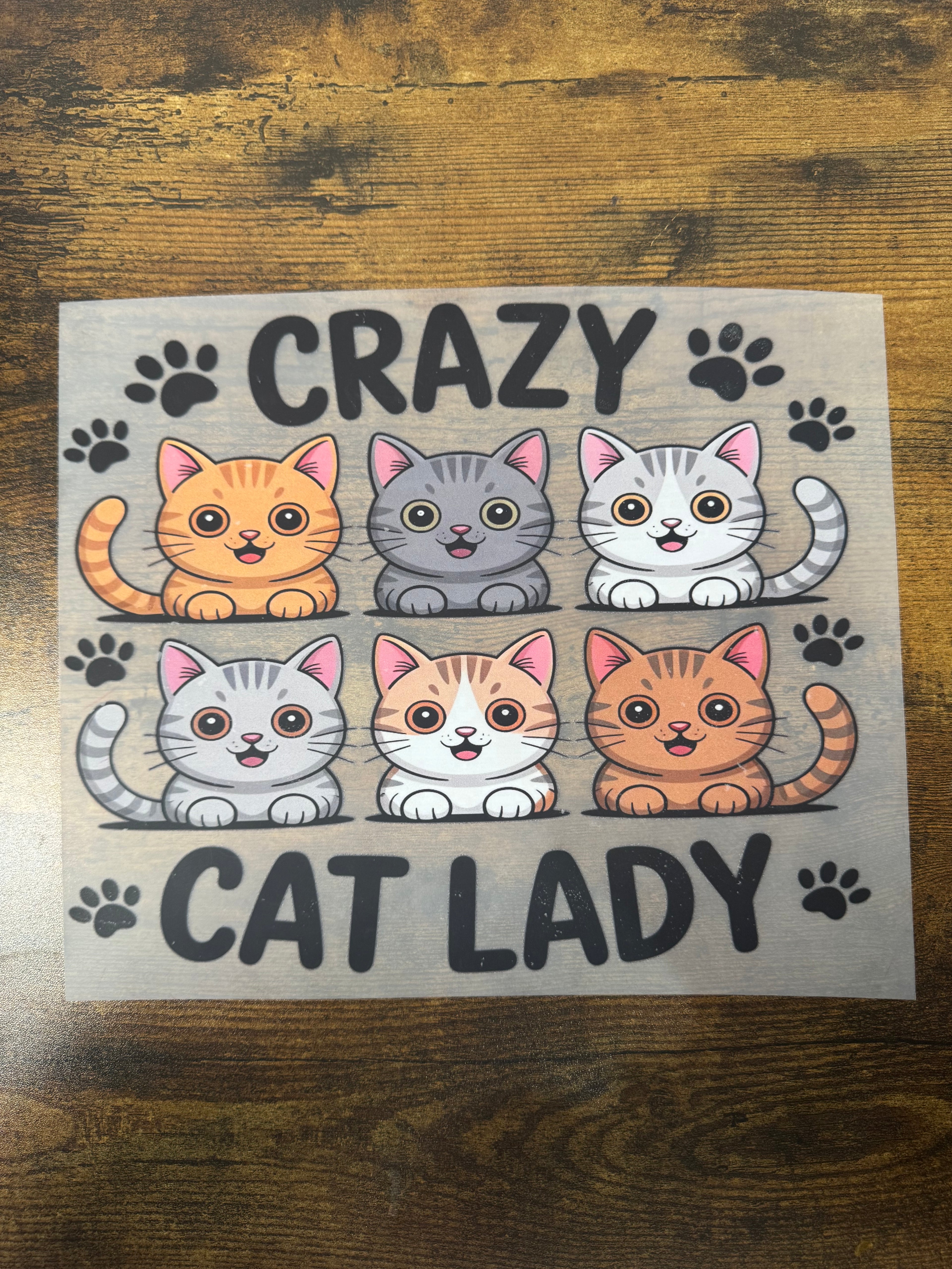 Crazy Cat Lady Transfer