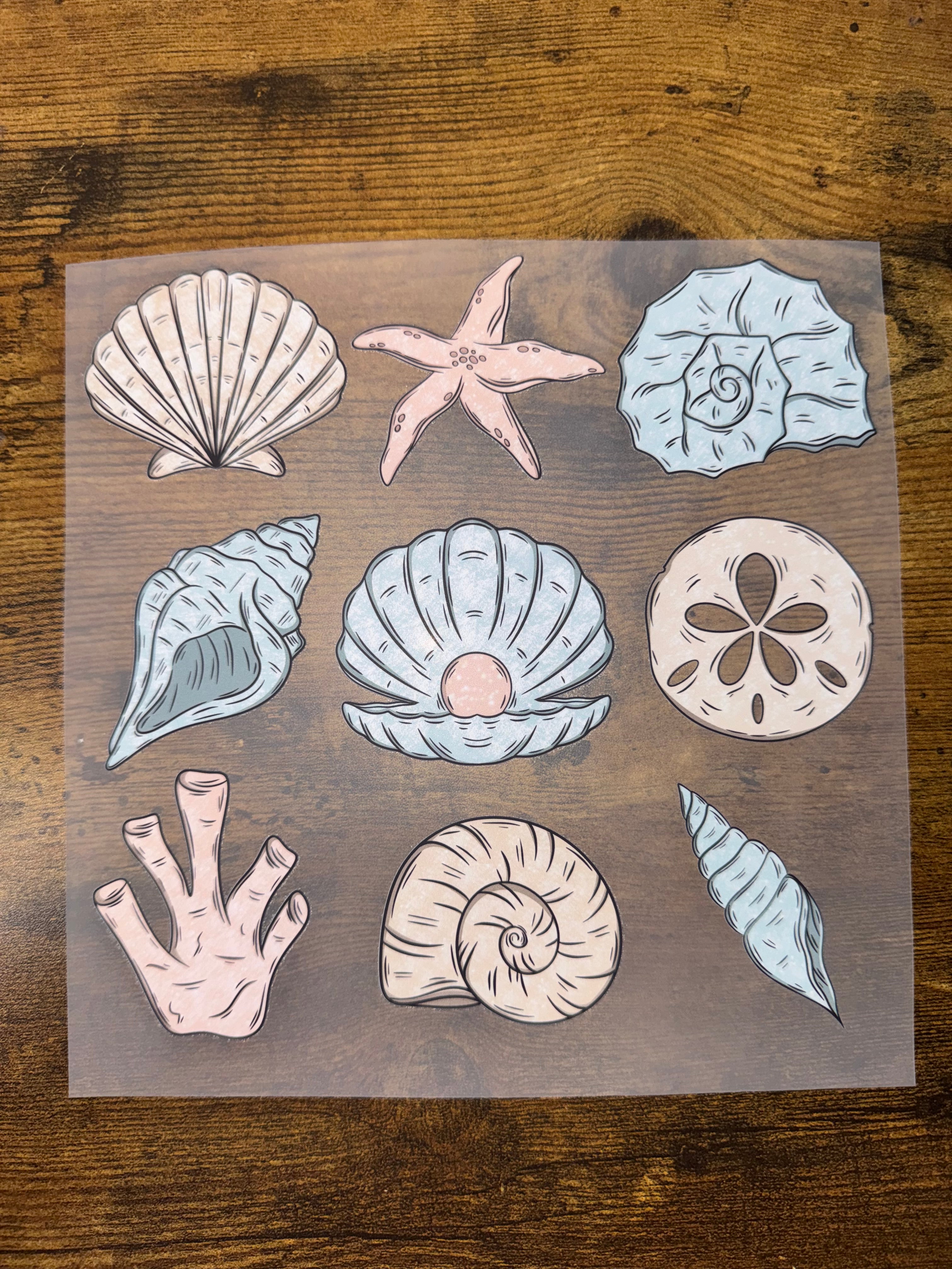 Shells Transfer