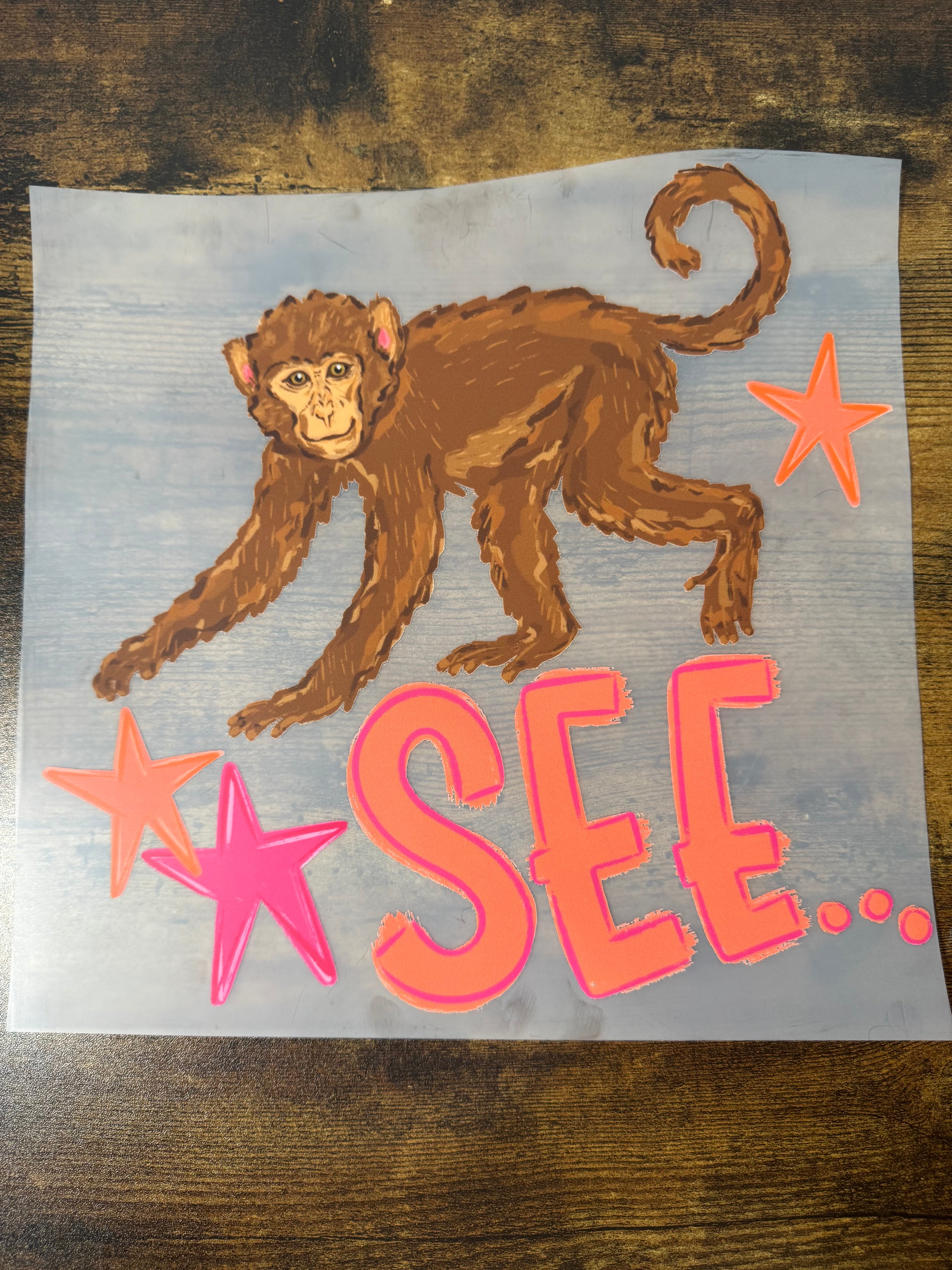 Monkey See Monkey Do Transfer