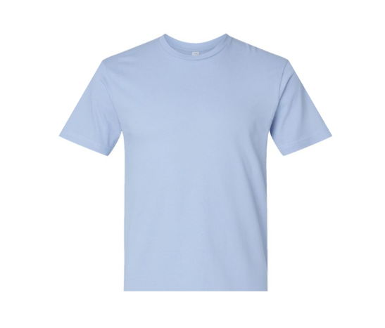 Gildan Toddler Tee