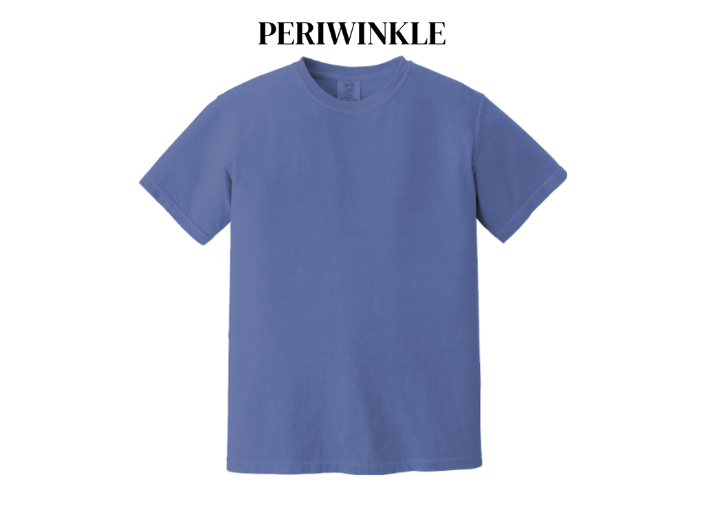 Comfort Colors Adult Tee