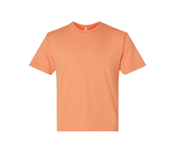 Gildan Toddler Tee